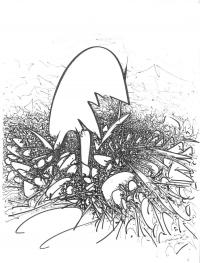 236