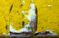 98