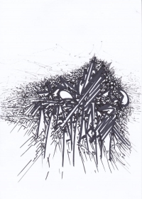 366